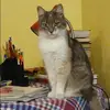 Отзыв от Диана Горячева